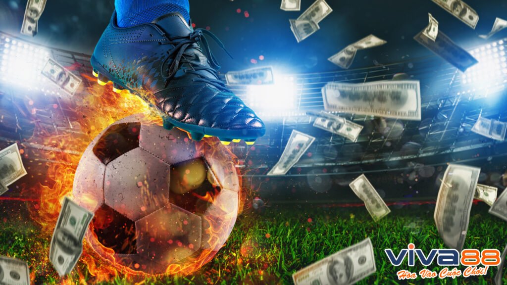 cách làm cò cá độ bóng đá