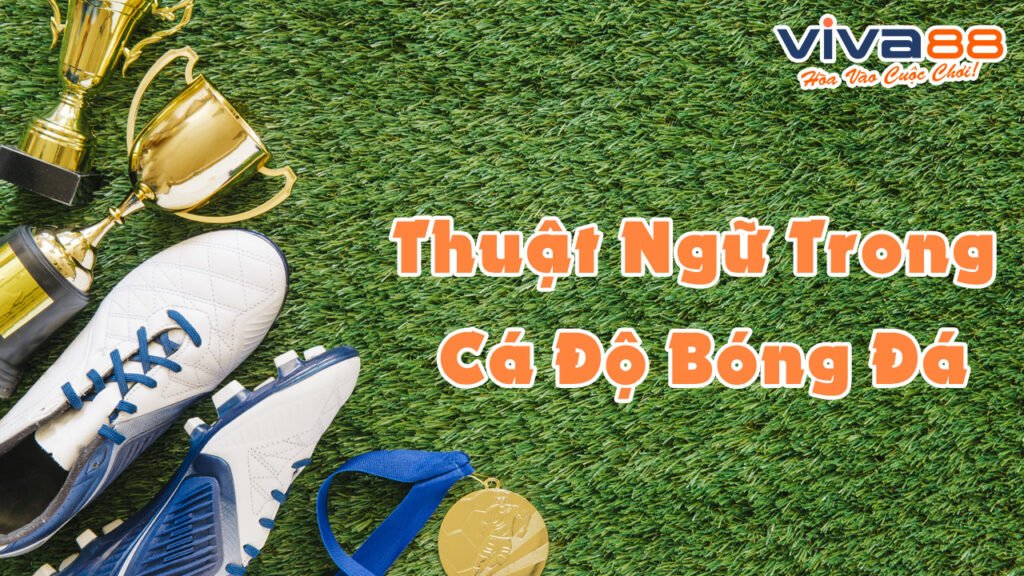 Các thuật ngữ trong cá độ bóng đá