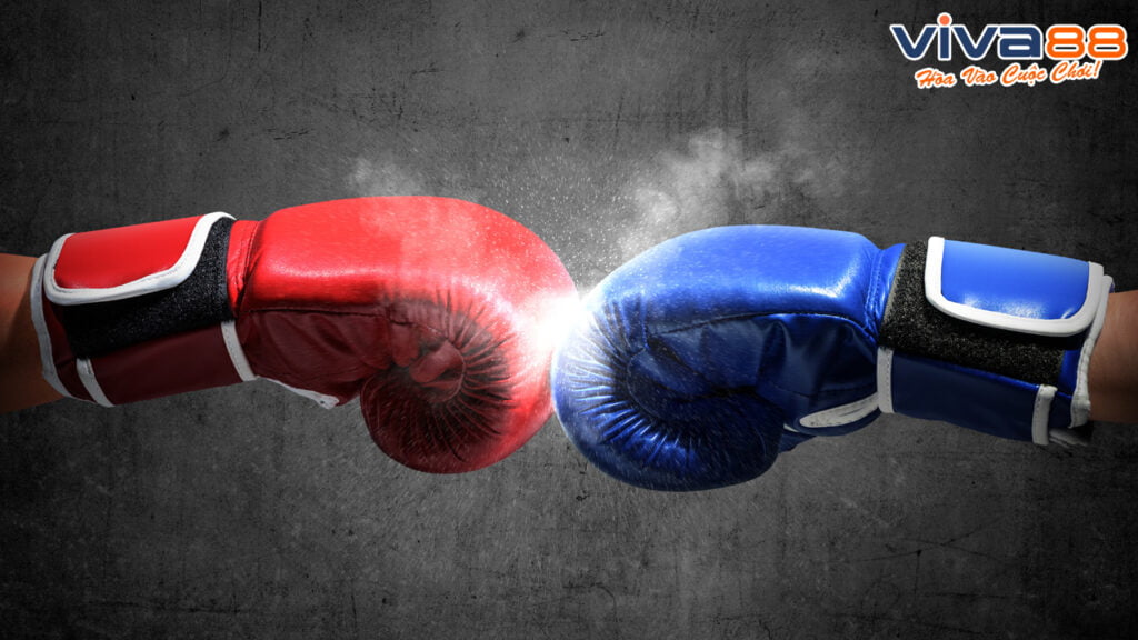 Cách chơi cá cược quyền anh