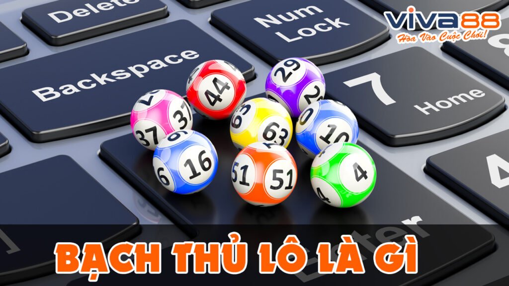 Bạch thủ lô là gì