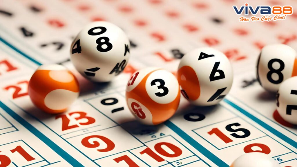 Lô ba càng là gì